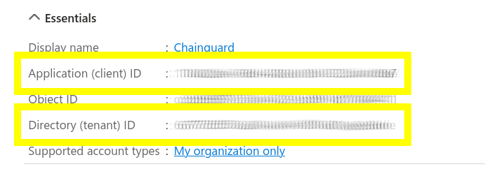 Screenshot of a portion of the Overview page showing the 'Essentials' information. The Application (client) ID and the Directory (tenant) ID are both highlighted in yellow boxes, though their values have been blurred.